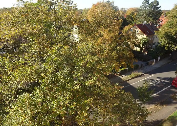 Apartment M - View *