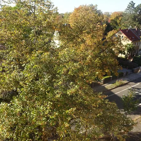 Appartement M - View *